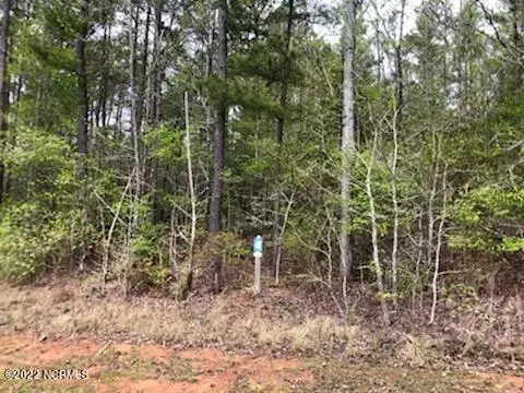 240 Riverhills Trl, Rockingham, NC 28379
