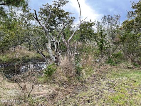 227 Highway 70 Williston, Williston, NC 28579 photo 14