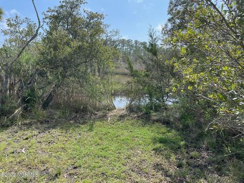 227 Highway 70 Williston, Williston, NC 28579 photo 9