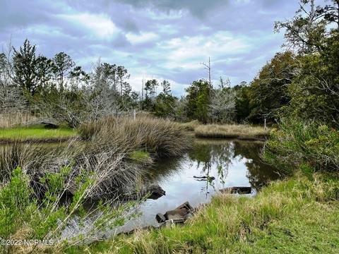 227 Highway 70 Williston, Williston, NC 28579 photo 17