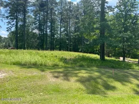 105 Merrimack Pl, Chocowinity, NC 27817 photo 4