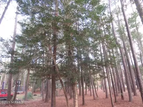 3138 Channel Dr SE, Bolivia, NC 28422