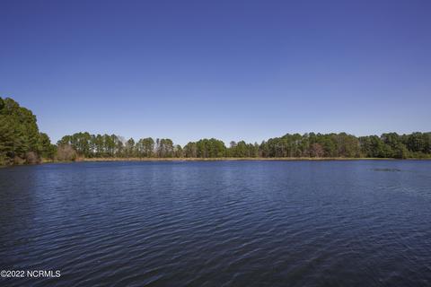 19 Abington Dr, Pinehurst, NC 28374 photo 41
