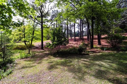 167 Devonshire Ave W, West End, NC 27376 photo 30