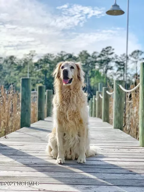 11 Rigging, Minnesott Beach, NC 28510 photo 8