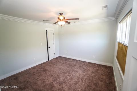111 Ruby Yopp Cir, Sneads Ferry, NC 28460 photo 47