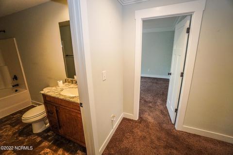 111 Ruby Yopp Cir, Sneads Ferry, NC 28460 photo 51