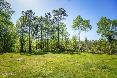 111 Ruby Yopp Cir, Sneads Ferry, NC 28460 photo 7