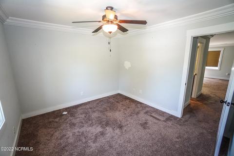 111 Ruby Yopp Cir, Sneads Ferry, NC 28460 photo 43