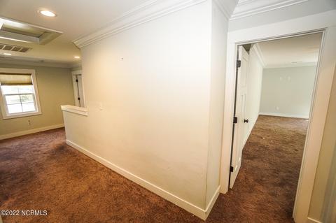 111 Ruby Yopp Cir, Sneads Ferry, NC 28460 photo 50