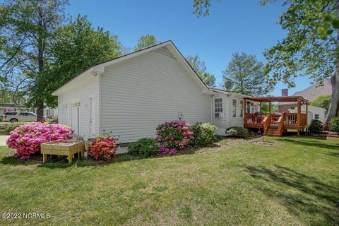 300 Kingston St, Pine Level, NC 27568 photo 27