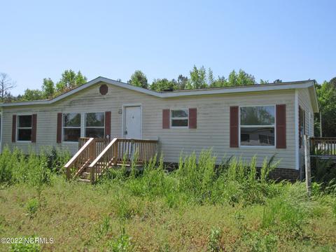 142 Haystack Branch Ln, Beulaville, NC 28518 photo 1