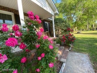 2465 Gray Rd, Chocowinity, NC 27817 photo 1