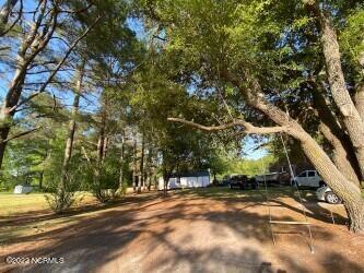 2465 Gray Rd, Chocowinity, NC 27817 photo 33