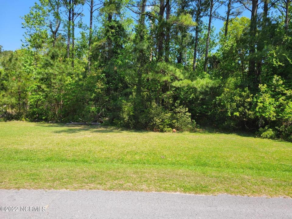  306 Limbaugh Ln, Swansboro, NC 28584 photo 2