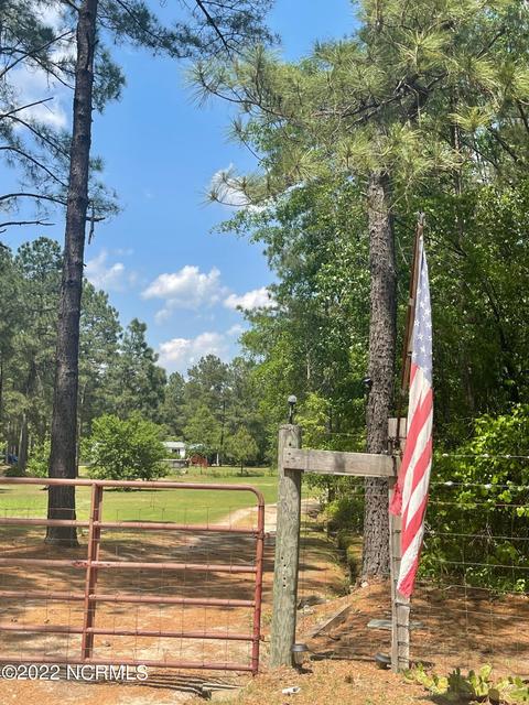 222 Bryson Dr, Hamlet, NC 28345 photo 3