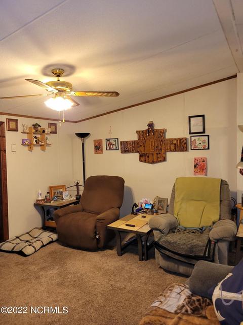 222 Bryson Dr, Hamlet, NC 28345 photo 43