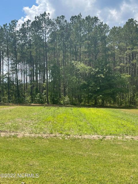 222 Bryson Dr, Hamlet, NC 28345 photo 19