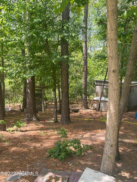 222 Bryson Dr, Hamlet, NC 28345 photo 33