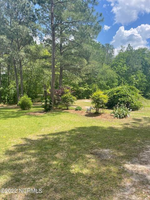 222 Bryson Dr, Hamlet, NC 28345 photo 5