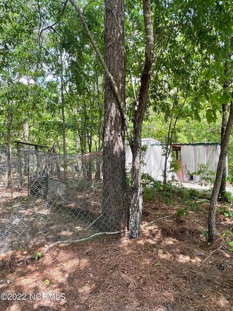 222 Bryson Dr, Hamlet, NC 28345 photo 32