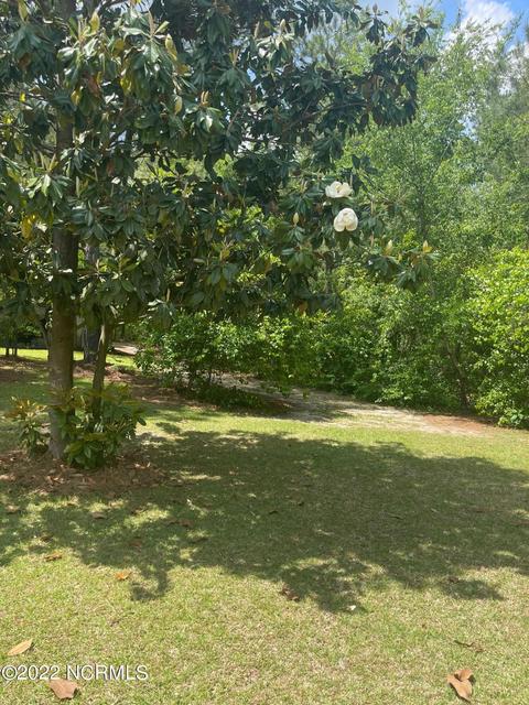 222 Bryson Dr, Hamlet, NC 28345 photo 28