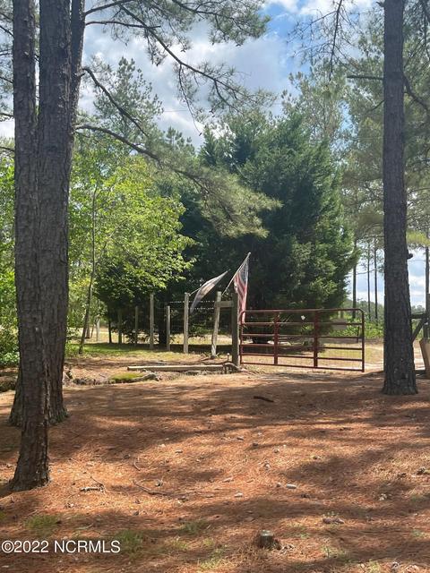 222 Bryson Dr, Hamlet, NC 28345 photo 6