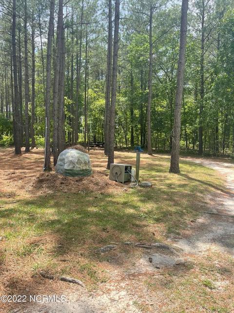 222 Bryson Dr, Hamlet, NC 28345 photo 17