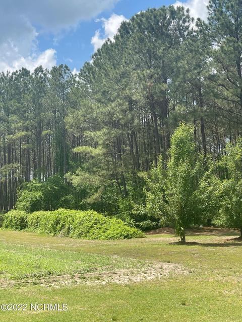 222 Bryson Dr, Hamlet, NC 28345 photo 21