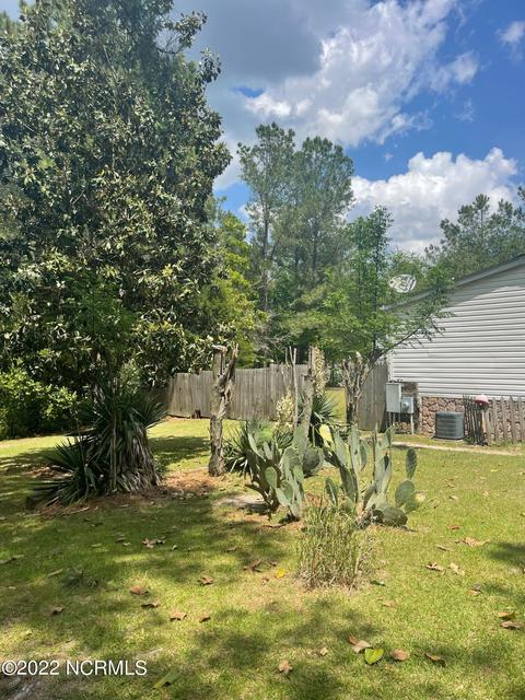 222 Bryson Dr, Hamlet, NC 28345 photo 67