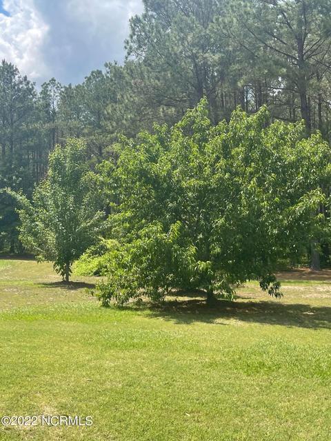 222 Bryson Dr, Hamlet, NC 28345 photo 13