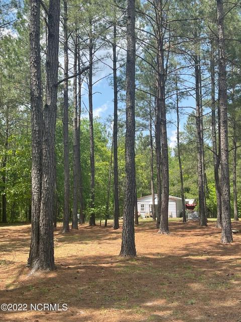 222 Bryson Dr, Hamlet, NC 28345 photo 10