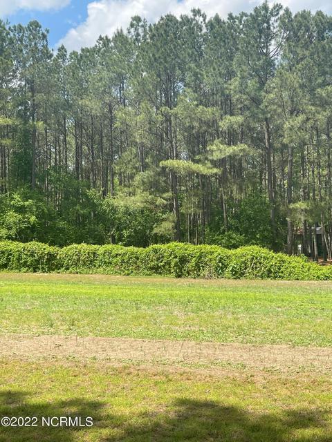 222 Bryson Dr, Hamlet, NC 28345 photo 14