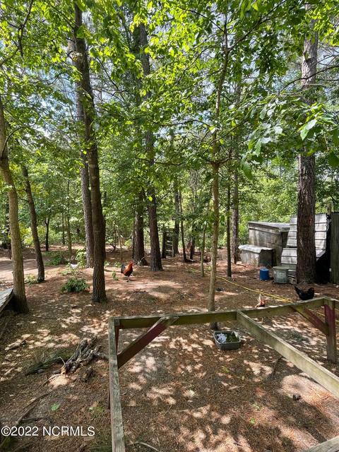 222 Bryson Dr, Hamlet, NC 28345 photo 31