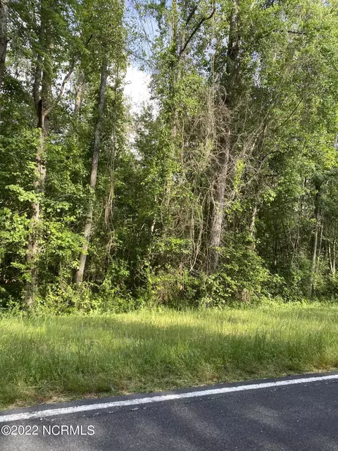 2 Homer Nance Road, Evergreen, NC 28438