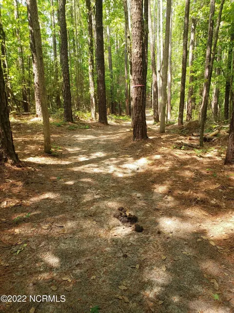 5164 Nc-24, Cameron, NC 28326 photo 8