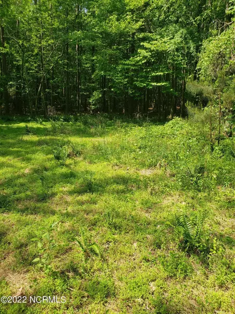 5164 Nc-24, Cameron, NC 28326 photo 6
