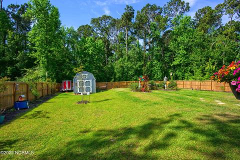 747 Lea Drive Ext, Hampstead, NC 28443 photo 24
