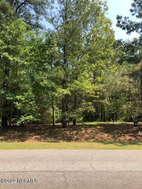 883 Sea Gull Dr, Vass, NC 28394