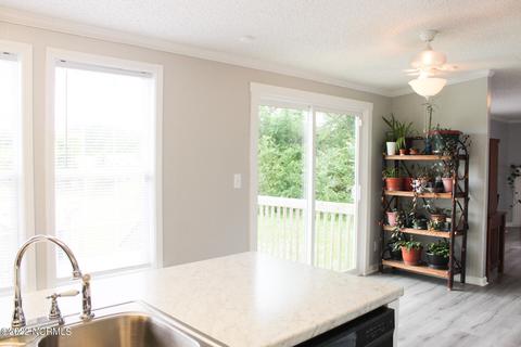 284 Gregory Fork Rd, Richlands, NC 28574 photo 28