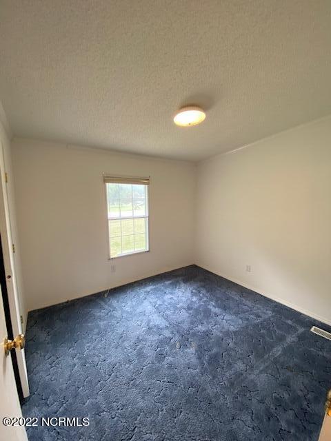660 Pecan Rd, Dudley, NC 28333 photo 12