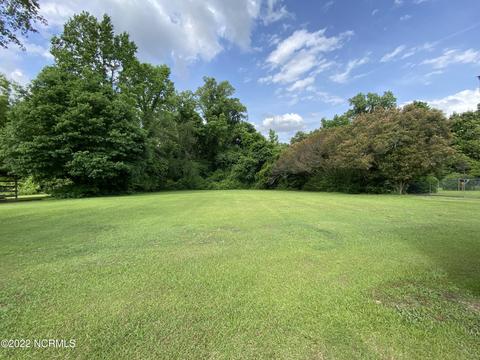 306 Winnifred St, Faison, NC 28341 photo 13