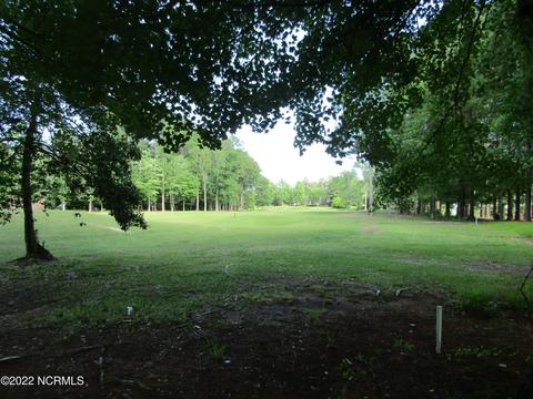 103 Newport Ct, Chocowinity, NC 27817 photo 3