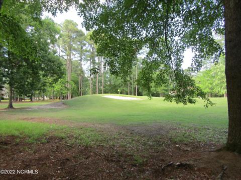 103 Newport Ct, Chocowinity, NC 27817 photo 1
