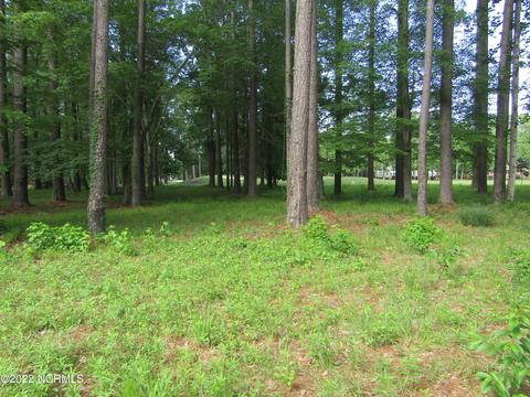 103 Newport Ct, Chocowinity, NC 27817 photo 2