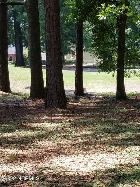 lot41 White Heron Ct, Sunset Beach, NC 28468