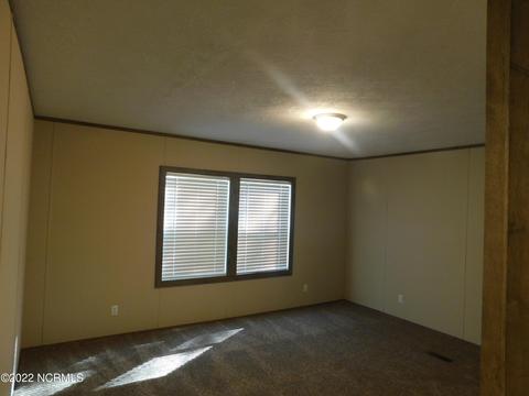162 Mcarthur St, Hamlet, NC 28345 photo 9