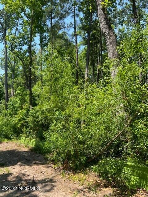 1803 Senova Trce, Wilmington, NC 28405