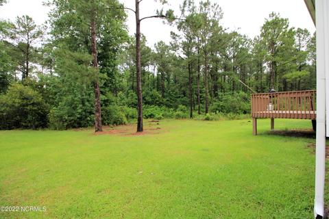 203 E Peyton Pl, Maple Hill, NC 28454 photo 26