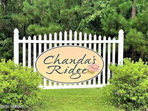 203 E Peyton Pl, Maple Hill, NC 28454 photo 28